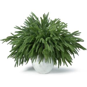 18 Pcs Real Touch Norfolk Pine Branches,Artificial Christmas Green Faux Cedar Norfolk Pine Stems Fake Greenery Pine Picks for Vase DIY Garland Wreath Xmas Indoor Outdoor Home Decoration (18 Inches)