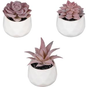 Set of 3 Artificial Succulent Plants with Ceramic Flower Pot Mini Assorted Green Fake Plants in Pots Small Tabletop Ornament Artificial Plant