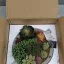 MyGift 8 Inch Round Modern Artificial Succulent Arrangement Potted in Gray Concrete Plant Bowl, Assorted Faux Mini Succulents in a Decorative Planter Pot (Grey)