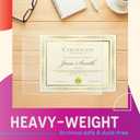 GOLD SEAL No Holes Sheet Protectors, Bulk Pack, Letter Size (8.5 x 11 Inch), Heavyweight Clear View Sheet Protectors, Top Loading, Document Protectors, Artwork Protectors,(100 Pack)