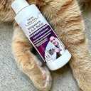 Feline Ring Care | Control & Help with Cat Ringworm, Mange, Dermatitis, Dog Paw Yeast. Also works on Dogs, Hamsters, Guinea Pigs, Rabbits, etc. 8 oz Ready to Use Spray for Cats and Itch Relief