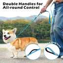 6FT Slip Lead Dog Leash with Double Padded Handle, Anti-Tangle Slip Leads for Dogs, Reflective Nylon No-Pull Training Leash for Small Medium Dogs, Sky Blue