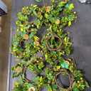 6 Pcs St. Patrick's Day Hanging Wreaths for Cabinets with Green Shamrock Clovers Gold Coin Artificial Mini Candle Rings Wreath for Home Kitchen Front Door Window Porch Wall Wedding Decor