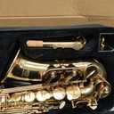 Eastar Alto Saxophone Beginner Student Eb Sax, Golden Full Kit, AS-II