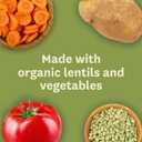 Amys Soup, Vegan Light in Sodium Lentil Vegetable Soup, Gluten Free, Made With Organic Vegetables, Canned Soup, 14.5 Oz (12 Pack)