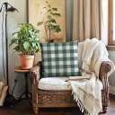 Fall Decorative Throw Pillow Covers,Autumn Pumpkin and Buffalo Check Plaid Design 18x18 Inch Cushion Cases 2Pack Happy Fall Harvest Farmhouse Home Pillowcases for Autumn Thanksgiving(Blue/Green)