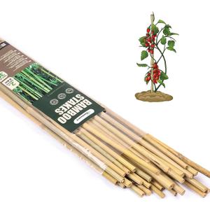 Cambaverd Bamboo Sticks for Plants 2 Feet Bamboo Stakes for Indoor Gardening Plant Stakes Supports Potted Plants Mini Trees Garden Stakes - Pack of 30 Bamboo Poles
