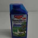 BioAdvanced 12 Month Tree and Shrub Protect and Feed II, Concentrate, 32 Oz, Outdoor Insect Killer