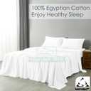 SlumberWell 4 Piece Sheet Set Queen Size, 100% Egyptian Cotton, 12 Inch Deep Pocket, Breathable Cooling & Super Soft Hotel Bed Sheets, White Solid