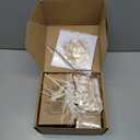 JTEWB Birthday Gifts For Women, Teen Girl, Her, Happy Birthday Gift Box For Girl, Women, Sister, Daughter, Friends, Cute Daisy Aesthetic Glass Cups Gift Set 7pcs (Beige)