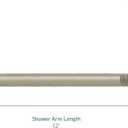 Moen Wrought Iron Extended 12-Inch Straight Overhead Shower Arm, 226651WR