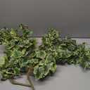 Hollyone 2pcs Artificial Hanging Plants 35.4" Fake Ivy Vine Faux Ivy Leaves Fire and UV Resistant Hanging Plant Wall Greenery for House Room Patio Indoor Outdoor Home Shelf Office Wedding Decor