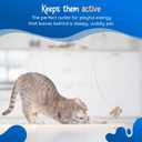 3 x Cat Dancer Products 101 Interactive Cat Toy, Brown