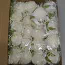 XunYee 20 Pcs Rose Wrist Corsage and Boutonniere Set, Men Corsages Wristlet Band Bracelet Artificial Prom Flower Wrist Corsage for Wedding Bride Groom Prom Suit Decorations (Ivory White)