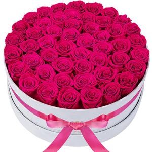 50 Piece Roses in a Velvet Box, Flowers for Delivery, Presereved Flowers Birthday Gifts for Women Mom and Wife (Radiant Pink)