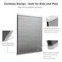 MYshade Cordless Blackout Cellular Shades for Windows, Honeycomb Window Shades with Thermal Insulation, Child & Pet Safe Room Darkening Shade, Easy Install, 44" W x 64" H, Grey