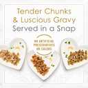 Purina Fancy Feast Gourmet Wet Cat Food Variety Pack, Petites Gravy Collection, break-apart tubs, 48 servings - (Pack of 24) 2.8 oz. Tubs