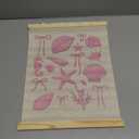 ignytiger Coastal Beach Seashell Wall Art Poster Framed, Ocean Beachy Room Decor Aesthetic, Pink Coquette Bow Seashell Canvas Wall Art Prints for Girly Home Bedroom Decor, 12x16 Inches