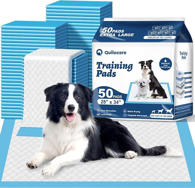 Basics XLarge Heavy Duty Absorbent Puppy Potty Pads, LeakProof, QuickDry, Super Absorbent Gel Technology for Dog Training, 28 x 34 Inches, Blue & White, Pack of 50