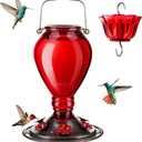 Kingsyard Glass Hummingbird Feeder - 6 Bee Guard Feeding Ports & Ant Moat, 24 oz Leak Proof, Wild Bird Feeder for Outdoors Hanging, Easy to Clean & Refill, Garden Yard Dcor, Red