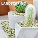 10 lb Jade Pebbles for Indoor Plants, 1/2 Inch Polished Decorative Pebbles for Vase, Bamboo, Succulent, Garden Landscape Decoration River Stone