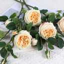 Real Touch Austin Roses Peonies Artificial Flowers 4 Bouquets Latex Fake Peonies with Long Stem Realistic Faux Peonies Flower for Wedding Party Home Table Centerpieces Decorations (Champagne)