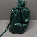 birdsnap P33 - Smart Bird Feeder with Camera Solar Powered, 2K Video Bird Camera Feeder Live with 32GB Card, AI Identify Feather Species, Auto Record in Backyard, Ideal Gift for Birds Lover (Brown)