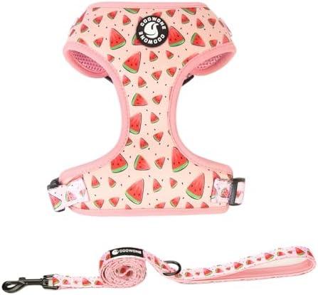 Coowone Dog Harness and Leash Set, Adjustable Puppy Harness and Soft Padded Dog Vest Harness for Small Medium Large Dogs, XS