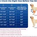 Dog Knee Brace, Dog ACL Brace for Front Torn and Back Hind Rear Legs ACL Tear, Dog Hip Knee Leg Brace for Hip Dysplasia, Dog Arthritis, Luxating Patella, M
