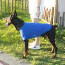 Premium Yoga-Fabric Dog T-Shirt – Breathable, Stretchy, Anti-Shedding Pet Clothes for All Seasons, Small to Large Dogs, Royal Blue, XS