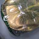 MOUYAT 6 PCS 10 Inch Large Stainless Steel Plate, 26cm Round Dinner Metal Plates, Metal Salad Steak Plates Reusable Dinner Dish for Eating Serving Camping Outdoor BBQ Home Kitchen, Frosted Gold