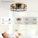 LEDIARY 20" Caged Low Profile Ceiling Fan with Light and Remote Black Gold