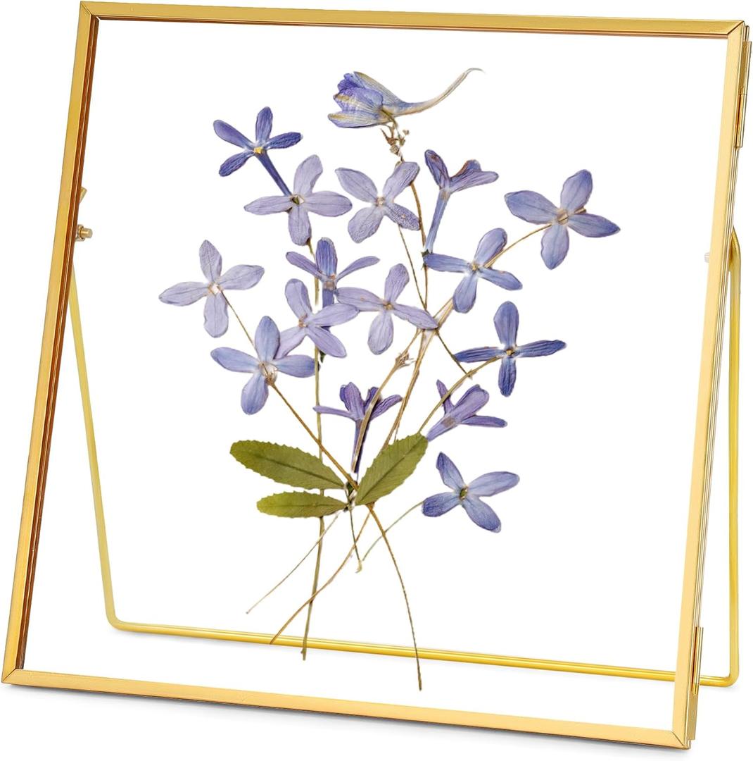REDHUGO Double Glass Frame for Pressed Flowers Handmade, Tabletop Photo Frame for Floating Picture and Flower Press, Simple, Metal Geometric, Square, Gold, 6x6 Inches