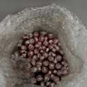 Zest Candle CEZ-073_12 144-Piece Taper Candle, 12", Burgundy