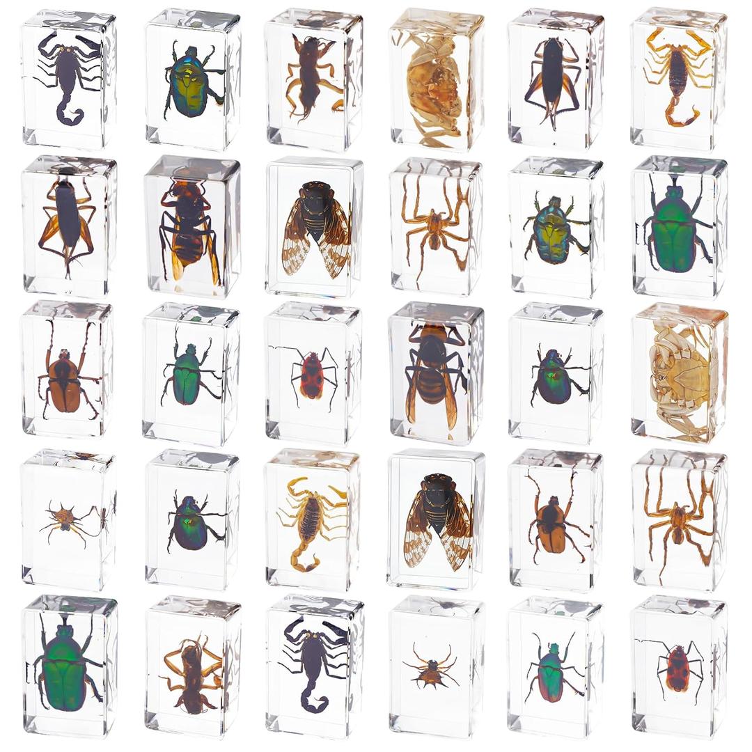 30 PCS Insect in Resin Specimen Bugs Collection Paperweights, Various Taxidermy Bugs Insect Preserved in Resin for Kids Scientific Educational Display Supplies