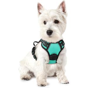 rabbitgoo Dog Harness No Pull with 2 Leash Clips, Adjustable Soft Padded, Reflective Oxford No Choke Pet Vest with Easy Control Handle for Puppy, Turquoise, XS