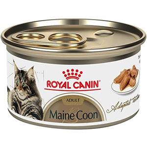 Royal Canin Feline Breed Nutrition Maine Coon Adult Thin Slices in Gravy Canned Cat Food, 3 oz can (22-count) (Best By Apr 26 2027)