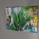 Kids Funny Graphic Polyester Colorful T Shirt for Boys Girls Size 4-14 (8-9 Years)