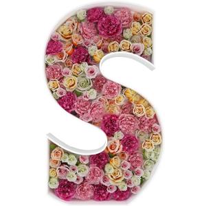 2FT Letter S Mosaic Balloon Frame Letter DIY Fillable Letters Kit for Birthday Party Wedding Backdrop Decor