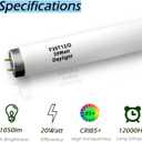 6 Pack 2FT F20T12/D Daylight Fluorescent Bulb, 24 Inch 6500K 20 Watt Full Spectrum Light, 1.5 Inch Diameter T12 Linear Tube, High Transparency CRI 85+