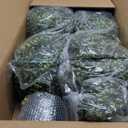 36'' Artificial Bunny-Shaped Topiary Double Ball Tree Pot UV-Resistant Bowknot Easter Decor Faux Boxwood Topiaries Plant for Porch Decor Outdoor/Indoor 2 Pack (3FT)