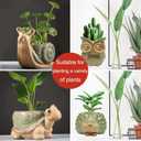 Small Ceramic Succulent Pot with Drainage, Animal Succulent Planter, 4.4 Inch Flower Pots, for Flower, Cactus, Mini Succulent Plants, Indoor and Outdoor use, Set of 4 Garden Gift
