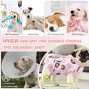 Dog Surgery Suit, Breathable Surgical Recovery Suit for Female Spay Male Neuter, Anti-Licking Surgical Recovery Suit for Abdominal Wounds Skin Disease, Pink, Medium