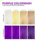 Celeb Luxury Colorwash Color Depositing Shampoo - Color Refresher, Vegan Hair Dye, Bondfix Bond Rebuilder, Viral and Gem Lites (Purple)