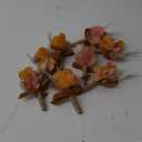 Ling's Moment Boutonniere for Men, 10pcs Groomsmen Guest Boutonniere, Artificial Flowers for Wedding Dcor/Prom/Homecoming,etc.Boho Dried Burnt Orange