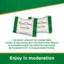 Russell Stover Sugar-Free Assorted Chocolate Caramels, 1.1 Pound (Pack of 1)