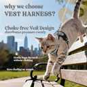 rabbitgoo Cat Harness and Leash for Walking, Escape Proof Soft Adjustable Vest Harnesses for Cats, Easy Control Breathable Reflective Strips Jacket, Grey, M