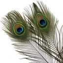 THARAHT 24pcs Peacock Feathers Natural Long in Bulk 30-32 inch(75-80 cm) for Floral Arrangements DIY Craft, Wedding Home Party Holiday Decoration Peacock Feathers