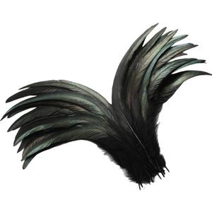 Holmgren Black Rooster Tail Feathers - 60pcs 12-14inch Natural Long Rooster Tail Feathers Bulk for DIY Crafts Costume and Halloween Party Performances Decoration (Black)