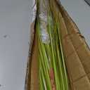 Wavwavw 4 Stem 4ft Artificial Pampas Grass Tall Reed Grass Decor,Green Grey